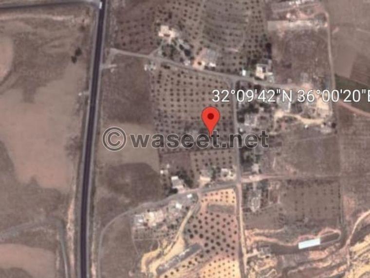 Farm for sale 4200 m in a populated area 0